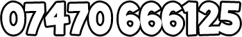 07470 666125